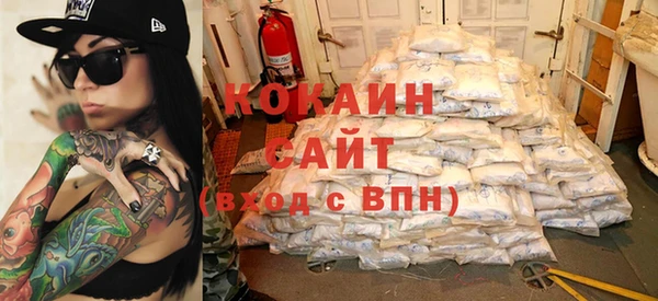 a pvp Бородино