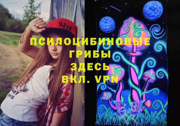 a pvp Бородино