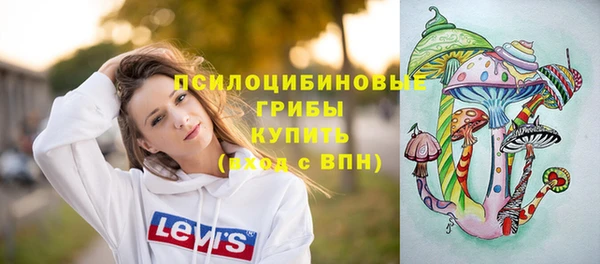 a pvp Бородино