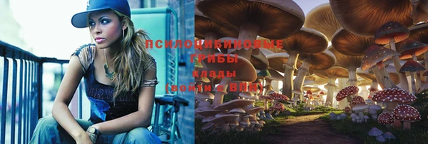 a pvp Бородино