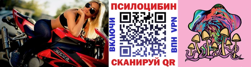 Псилоцибиновые грибы Cubensis  kraken как зайти  Волчанск 